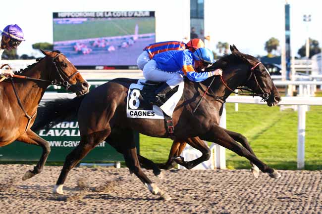 Photo d'arrivée de la course pmu PRIX DE SAINT-JEANNET à CAGNES-SUR-MER le Lundi 24 janvier 2022