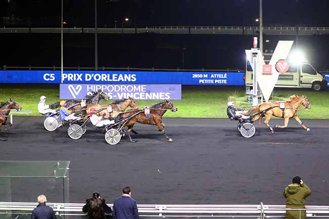 Photo d'arrivée de la course pmu PRIX D'ORLEANS à PARIS-VINCENNES le Lundi 24 janvier 2022