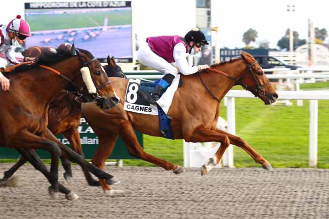 Photo d'arrivée de la course pmu PRIX DE LA CANEBIERE à CAGNES-SUR-MER le Mardi 25 janvier 2022