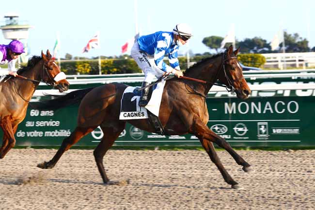 Photo d'arrivée de la course pmu PRIX YVES BACHELIER à CAGNES-SUR-MER le Mardi 25 janvier 2022