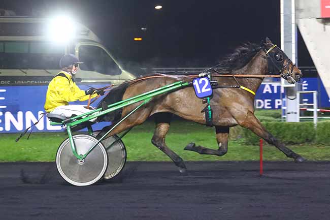 Photo d'arrivée de la course pmu PRIX DE SAINT-OMER à PARIS-VINCENNES le Mardi 25 janvier 2022