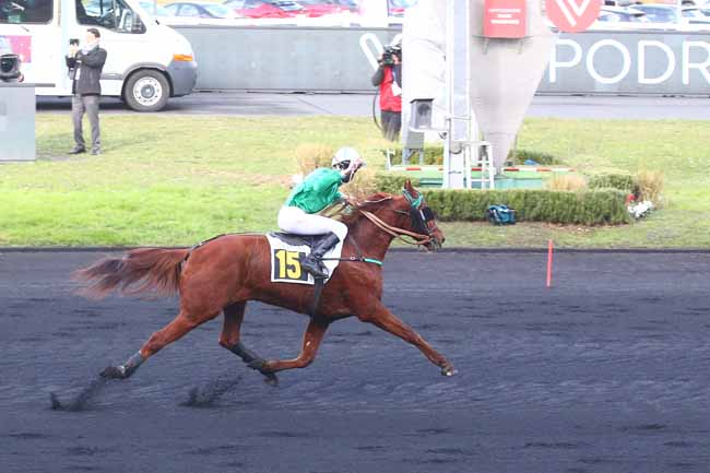 Photo d'arrivée de la course pmu PRIX TIDALIUM PELO à PARIS-VINCENNES le Dimanche 30 janvier 2022