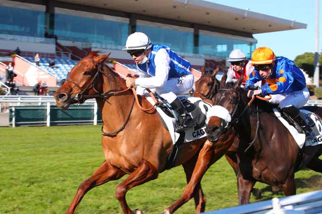 Photo d'arrivée de la course pmu PRIX PISONI (PRIX DE COGOLIN) à CAGNES-SUR-MER le Mardi 1 février 2022