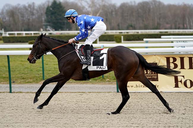 Photo d'arrivée de la course pmu PRIX DE COARRAZE à PAU le Vendredi 4 février 2022