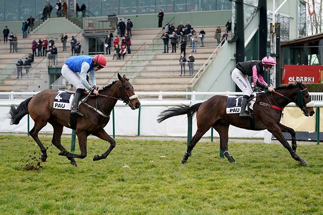 Photo d'arrivée de la course pmu PRIX ARTHUR D'ESTE à PAU le Vendredi 4 février 2022