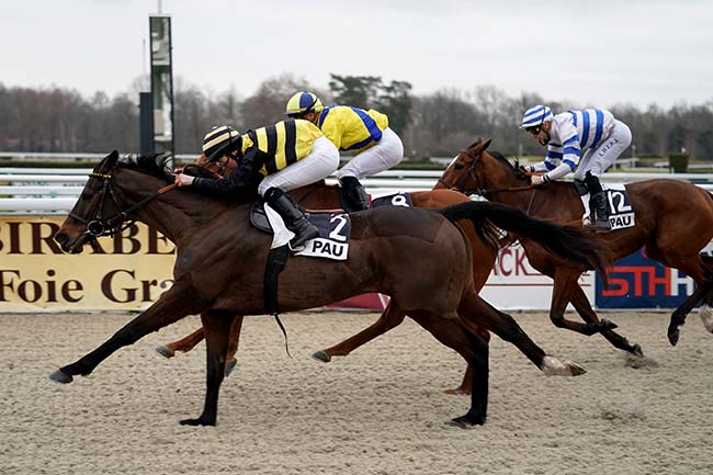 Photo d'arrivée de la course pmu PRIX DE PAU à PAU le Vendredi 4 février 2022