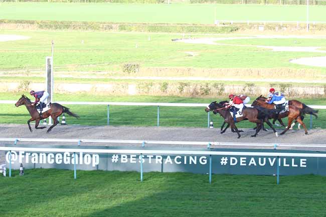 Photo d'arrivée de la course pmu PRIX DES CASCADES DE MORTAIN à DEAUVILLE le Vendredi 4 février 2022