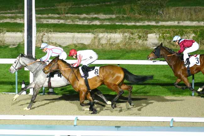 Photo d'arrivée de la course pmu PRIX DE LA PETITE CASCADE à DEAUVILLE le Vendredi 4 février 2022