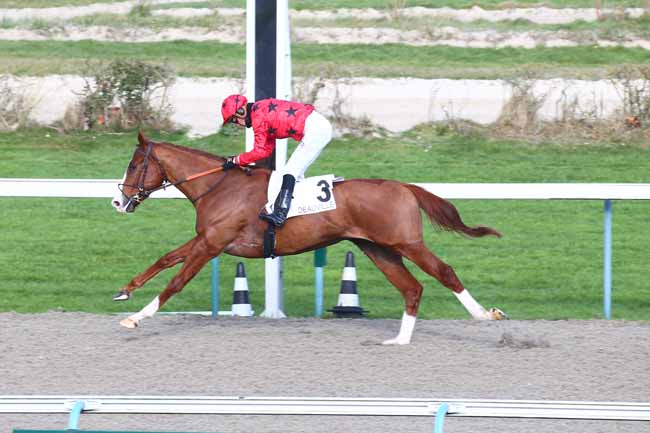Photo d'arrivée de la course pmu PRIX D'YPORT à DEAUVILLE le Samedi 5 février 2022