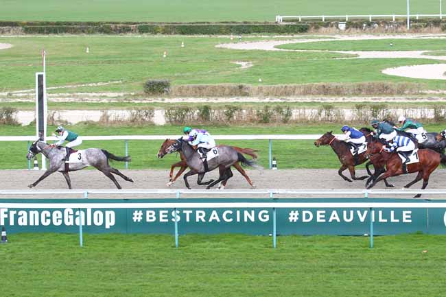 Photo d'arrivée de la course pmu PRIX DE VEULES-LES-ROSES à DEAUVILLE le Samedi 5 février 2022