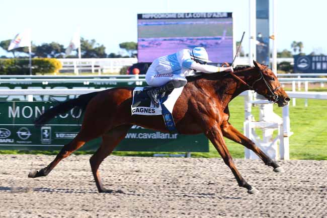 Photo d'arrivée de la course pmu PRIX PECKINPAH'S SOUL à CAGNES-SUR-MER le Mardi 8 février 2022