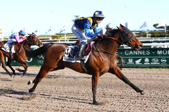 Photo d'arrivée de la course pmu PRIX DE LA NAPOULE à CAGNES-SUR-MER le Mardi 8 février 2022