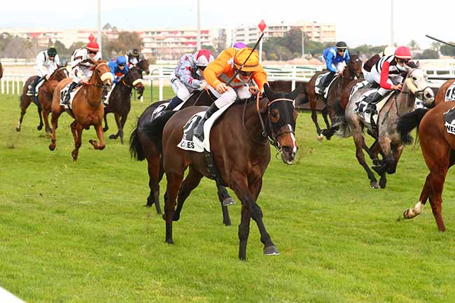 Photo d'arrivée de la course pmu PRIX DE VENCE à CAGNES-SUR-MER le Vendredi 11 février 2022