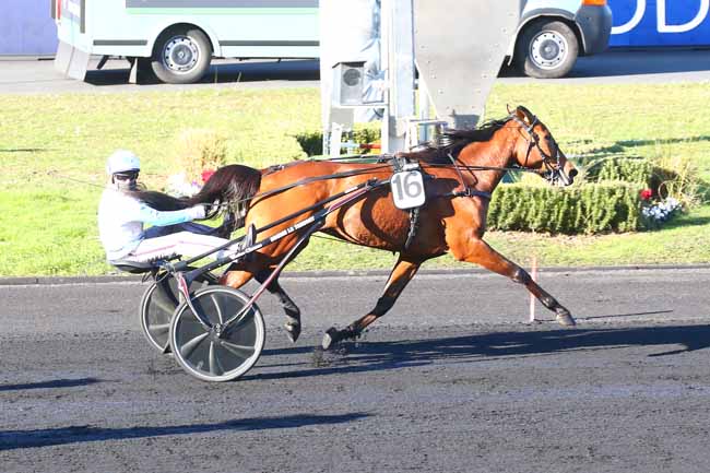 Photo d'arrivée de la course pmu PRIX DE MUNICH à PARIS-VINCENNES le Samedi 12 février 2022