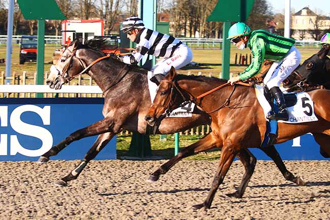 Photo d'arrivée de la course pmu PRIX DU CHEMIN DU TERTRE à CHANTILLY le Samedi 12 février 2022