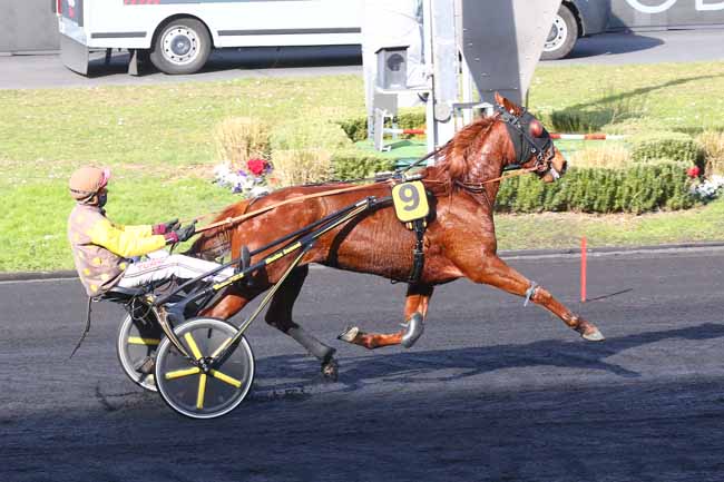 Photo d'arrivée de la course pmu PRIX DE JUAN-LES-PINS à PARIS-VINCENNES le Dimanche 13 février 2022