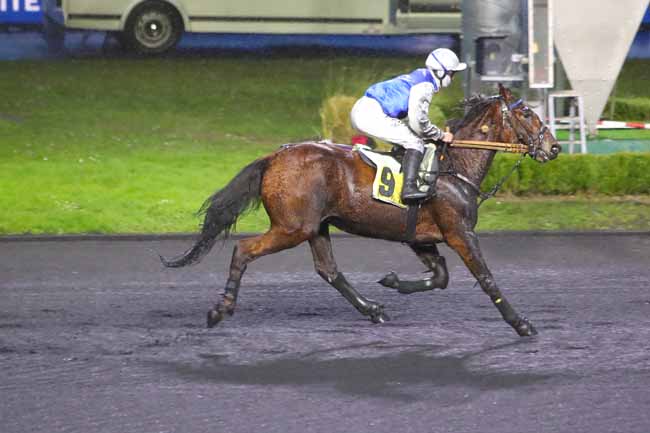 Photo d'arrivée de la course pmu PRIX DU TARN à PARIS-VINCENNES le Lundi 14 février 2022