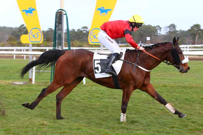 Photo d'arrivée de la course pmu PRIX DU MONT CHAUVET à FONTAINEBLEAU le Jeudi 17 février 2022