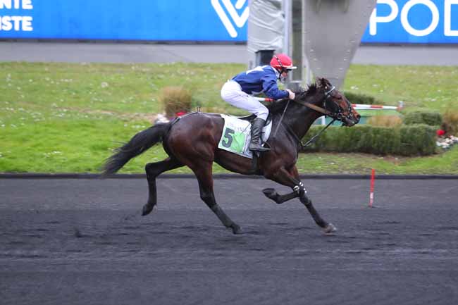 Photo d'arrivée de la course pmu PRIX DE FALOT à PARIS-VINCENNES le Lundi 21 février 2022