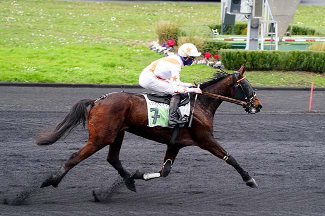 Photo d'arrivée de la course pmu PRIX D'AVENCHES à PARIS-VINCENNES le Mardi 22 février 2022