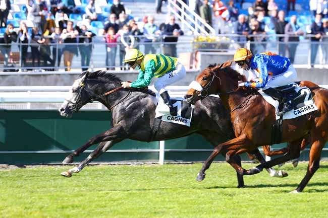 Photo d'arrivée de la course pmu PRIX DE LA PROMENADE DE LA PLAGE à CAGNES-SUR-MER le Mercredi 23 février 2022