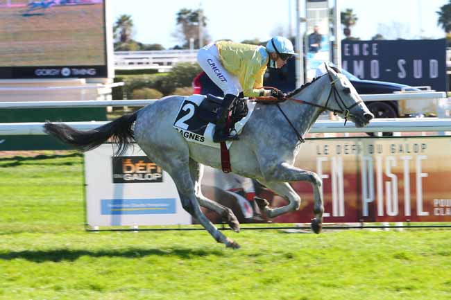 Photo d'arrivée de la course pmu PRIX DE PARISLONGCHAMP à CAGNES-SUR-MER le Samedi 26 février 2022