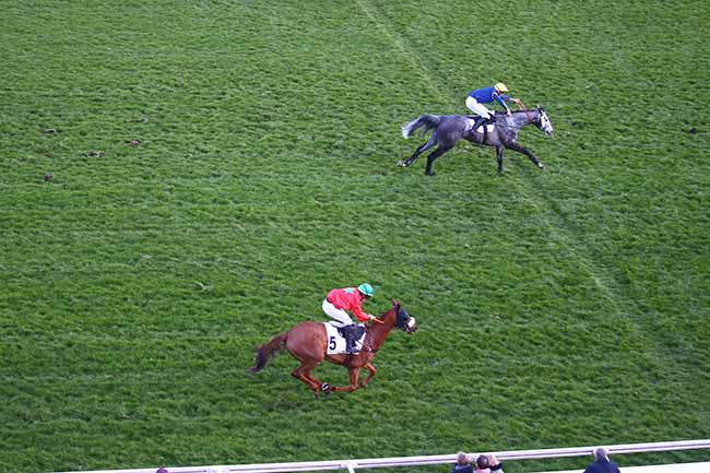 Photo d'arrivée de la course pmu PRIX BRIGHT ZAGREUS à AUTEUIL le Lundi 28 février 2022