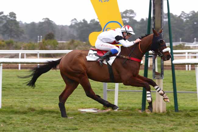 Photo d'arrivée de la course pmu PRIX JACQUES GELIOT à FONTAINEBLEAU le Jeudi 3 mars 2022