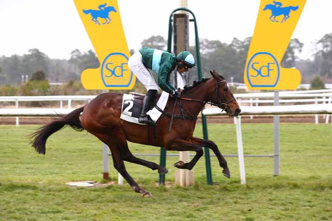Photo d'arrivée de la course pmu PRIX DES DAGUETS à FONTAINEBLEAU le Jeudi 3 mars 2022