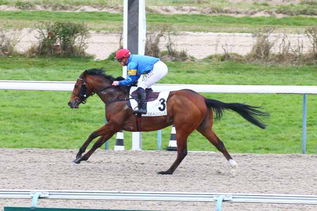Photo d'arrivée de la course pmu PRIX DE SAINT-JULIEN-LE-FAUCON à DEAUVILLE le Vendredi 4 mars 2022