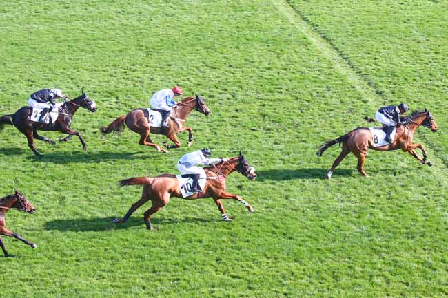Photo d'arrivée de la course pmu PRIX SOUVIENS-TOI à AUTEUIL le Dimanche 6 mars 2022