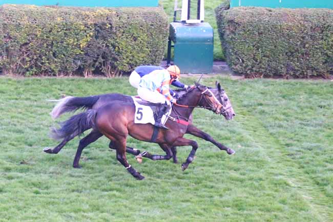 Photo d'arrivée de la course pmu PRIX AGITATO à AUTEUIL le Dimanche 6 mars 2022