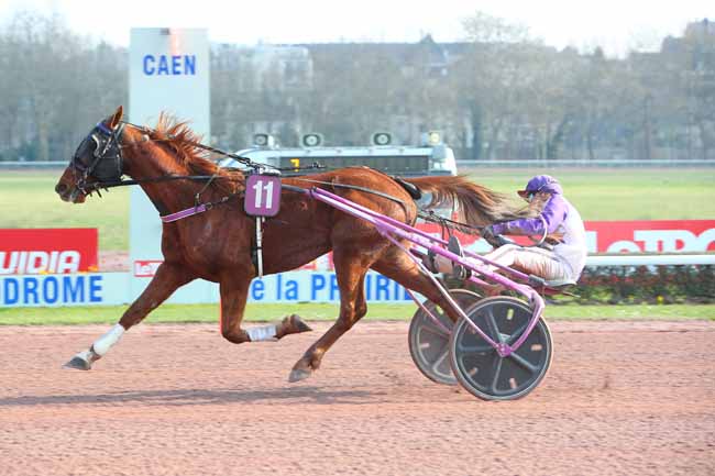 Photo d'arrivée de la course pmu PRIX DE SAINT-ETIENNE à CAEN le Lundi 7 mars 2022
