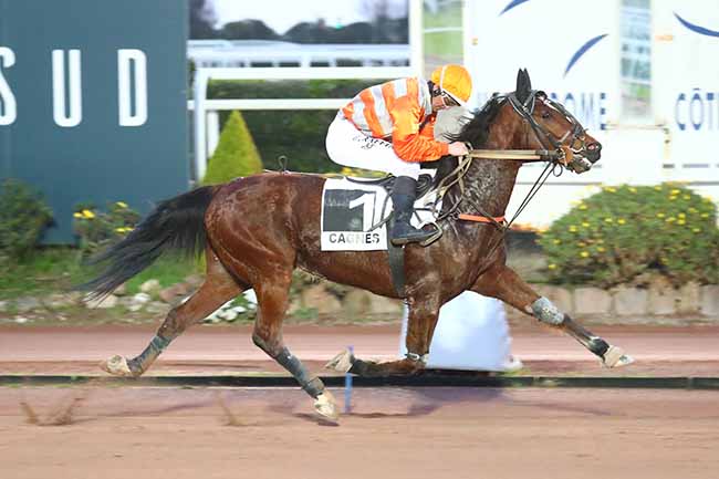Photo d'arrivée de la course pmu PRIX D'ALBENGA à CAGNES-SUR-MER le Dimanche 13 mars 2022