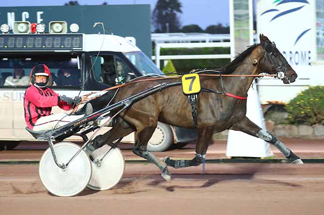 Photo d'arrivée de la course pmu PRIX DE LIVOURNE à CAGNES-SUR-MER le Dimanche 13 mars 2022