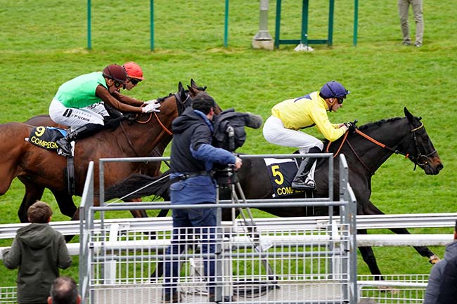 Photo d'arrivée de la course pmu PRIX D'AMELIE à COMPIEGNE le Dimanche 13 mars 2022