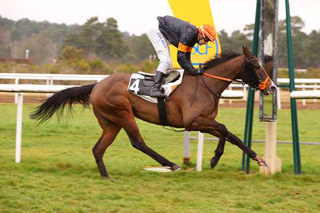 Photo d'arrivée de la course pmu PRIX DU CARREFOUR DE L'OBELISQUE à FONTAINEBLEAU le Mardi 15 mars 2022