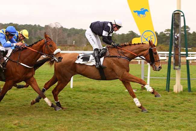 Photo d'arrivée de la course pmu PRIX DE NEMOURS à FONTAINEBLEAU le Mardi 15 mars 2022