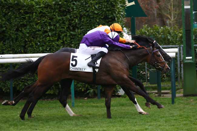 Photo d'arrivée de la course pmu PRIX RONDE DE NUIT à CHANTILLY le Mercredi 16 mars 2022