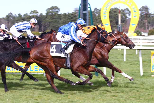 Photo d'arrivée de la course pmu PRIX DE BOIS-LE-ROI à FONTAINEBLEAU le Vendredi 18 mars 2022
