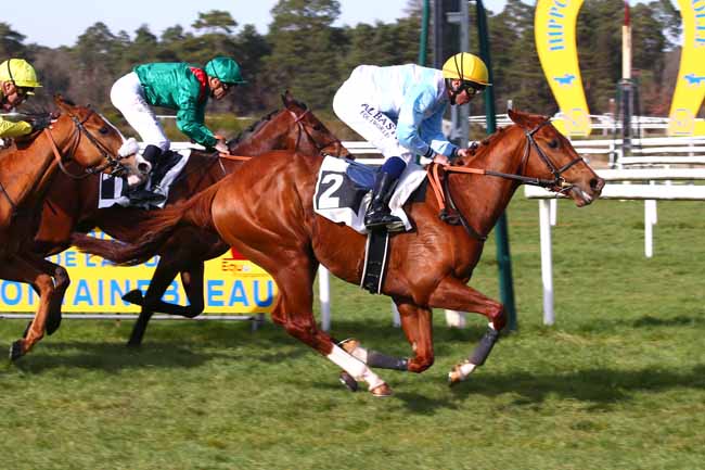 Photo d'arrivée de la course pmu PRIX DE LA PLAINE DES SABLONS à FONTAINEBLEAU le Vendredi 18 mars 2022