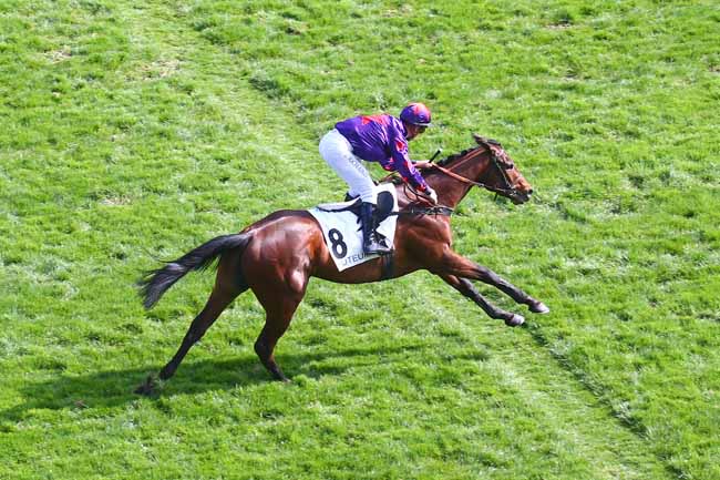 Photo d'arrivée de la course pmu PRIX RUSH à AUTEUIL le Dimanche 20 mars 2022