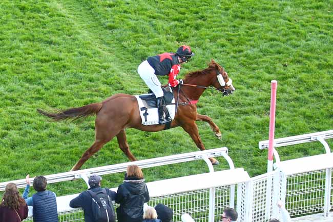 Photo d'arrivée de la course pmu PRIX LILIUM à AUTEUIL le Dimanche 20 mars 2022