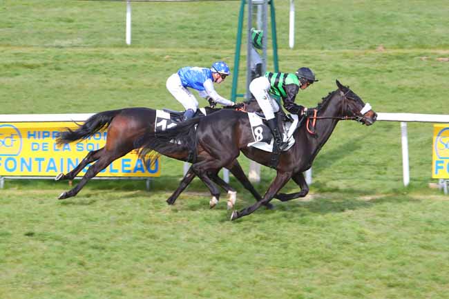 Photo d'arrivée de la course pmu PRIX DE CHATEAU LANDON à FONTAINEBLEAU le Lundi 28 mars 2022
