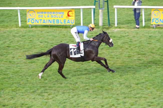 Photo d'arrivée de la course pmu PRIX DE FONTAINE-LE-PORT à FONTAINEBLEAU le Lundi 28 mars 2022