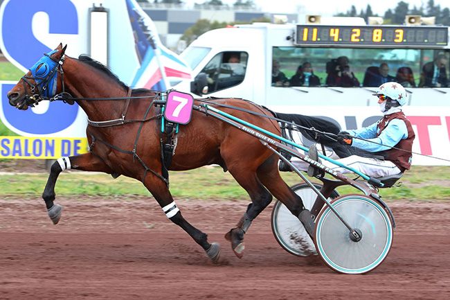 Photo d'arrivée de la course pmu PRIX JOURNAL  à SALON DE PROVENCE le Mercredi 30 mars 2022