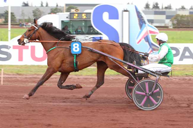 Photo d'arrivée de la course pmu PRIX TROPHEE PARIS-TURF à SALON DE PROVENCE le Mercredi 30 mars 2022