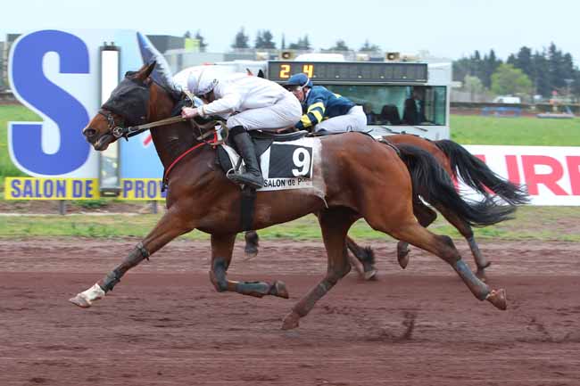 Photo d'arrivée de la course pmu PRIX  à SALON DE PROVENCE le Mercredi 30 mars 2022