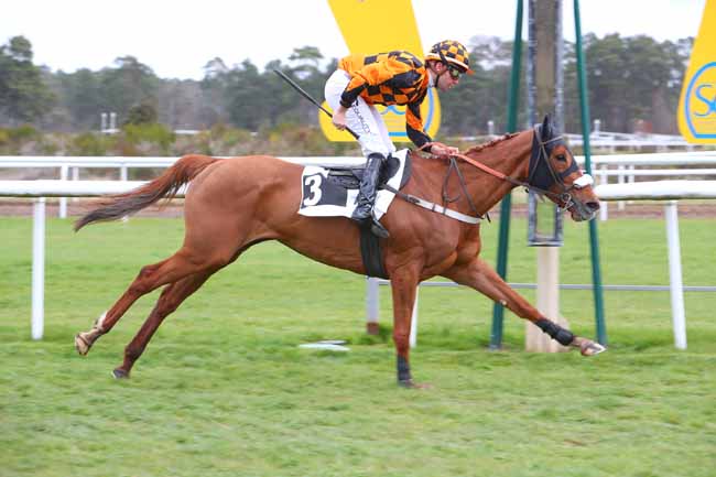 Photo d'arrivée de la course pmu PRIX QUAZVIN II à FONTAINEBLEAU le Samedi 2 avril 2022