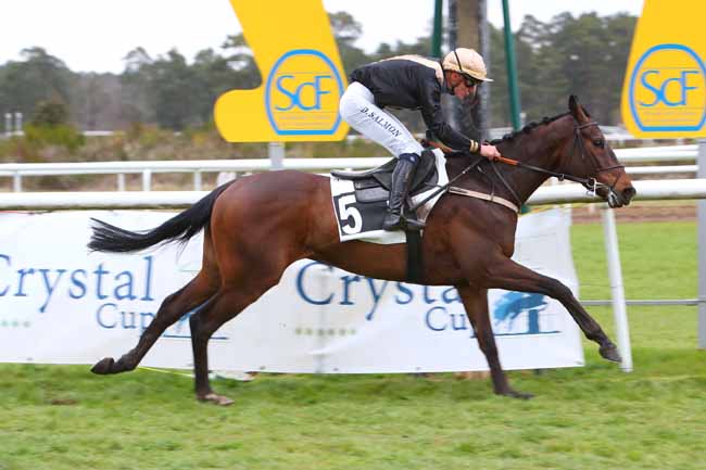 Photo d'arrivée de la course pmu PRIX DE BARBIZON à FONTAINEBLEAU le Samedi 2 avril 2022